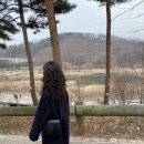 이철헤어커커광교상현역점 네이버블로그