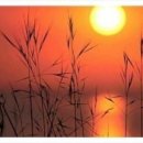 산들바람 이미지