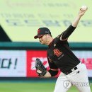 벤자민 이미지
