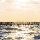 11월22일(토) 남양성모성지-화성,평택 시티투어 이미지