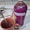 4632 | 🍇 푸드올로지 톡스올로지 클렌즈 48시간 2일 차 내돈내산 후기