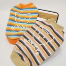 봉주르독 이미지