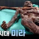 알프스 산맥에서 발견된 5300여년 전 미라 아이스맨 '외치' 이미지