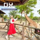 원대로카 | 인천 다낭 항공권 특가 최저가 가격 비교 비엣젯 패스트트랙 렌트카 후기