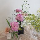 경희림다한의원 | 작약,작약꽃다발,남천동브런치카페,꽃정기구독-부산꽃집,남천동꽃집,광안리꽃집,금련산꽃집,경성대꽃집...