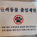 치킨176 이미지