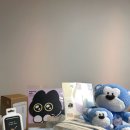 꿈의약국 | 모닝글로리서포터즈 모꿈이28기 제품사용후기(ft. 투명필통, 하드커버노트, 스트랩텀블러)