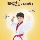 키즈 블랙벨트 태권도장 이미지