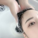 제주리본 제주리본 제주아라점 헤어컨설팅 후기 🌿