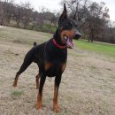 무지개다리 이미지