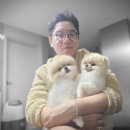 커비동물병원 이미지