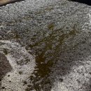 채수농장 이미지