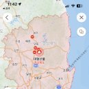 영덕사랑동물병원 네이버블로그
