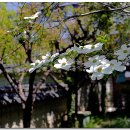 경상감영공원 이미지