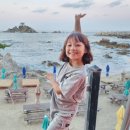 쉬다가개 애견호텔유치원 이미지