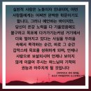 더사랑의교회 이미지