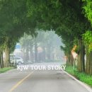 명옥헌민박 이미지