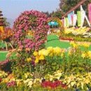 월영동220 이미지