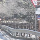 원동기사 이미지