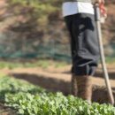 안심사슴농장 이미지