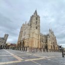 HOSTEL THE CAMINO 이미지