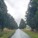 재동목장 이미지