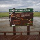 비온후풍경 이미지