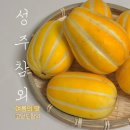 한입가득 | [고당도참외] 한입가득 퍼지는 달콤함! 성주참외 산지직송 후기