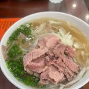 하노이 pho 10 후기/ 하노이 포 텐/ 하노이 미슐랭 쌀국수 후기