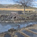 물고기 | [전남 구례 아이와 실내 나들이] 섬진강어류생태관 물고기 체험 후기