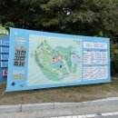 세븐일레븐김천평화스타점 | 경북 김천 김밥축제 주차장 셔틀버스 포토존 체험 후기