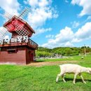 연계목장 이미지