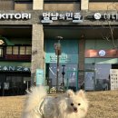 멍냥의민족 동탄호수공원점 애견용품할인점 무인24시
