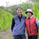 이화숙농장 이미지