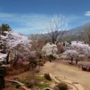 동산제1호 이미지