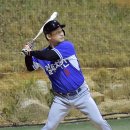 전노민 카카오 검색결과