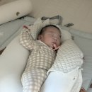놀짱 | ³⁸ 5갤 아강이 👶🏻 (151-155)
