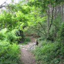 자연속으로 나를 찾아서 이미지