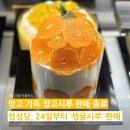 금주부띠끄