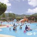 신정호야외수영장 이미지