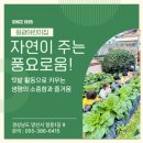 생명나무유치원 | 양산 원광 어린이집 - 자연이 주는 풍요로움! 텃밭 활동으로 키우는 생명의 소중함