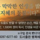 베스트(236) 이미지