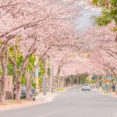 예래동-6 이미지