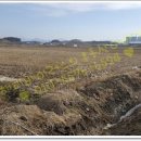 한솔주유소 이미지