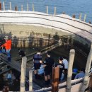 지족어촌체험휴양마을 이미지