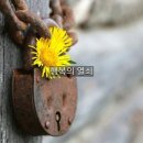 행복열쇠 - 성동구 무수막길 11 | 행복열쇠