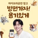골든PC | 7개월 골든리트리버 감자엄마의 마이브라운 펫보험 가입 후기 (브라운즈 1기)