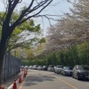 홈플러스옆길 이미지