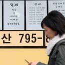 올리니 이미지