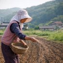 말씨 뿌리기 이미지